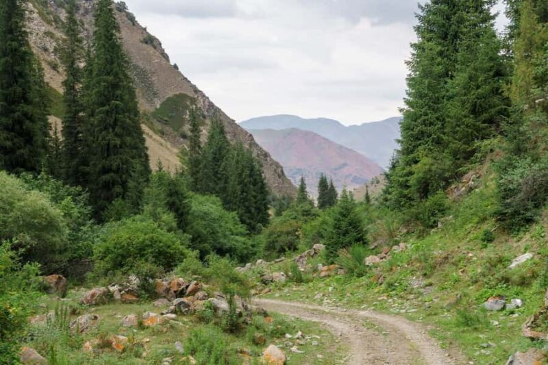 Bishkek: Shamsi Gorge Day Trip - The Experience in Detail: What Makes It Special