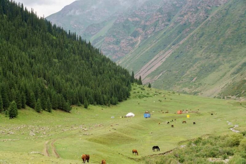 Bishkek: Shamsi Gorge Day Trip - FAQs