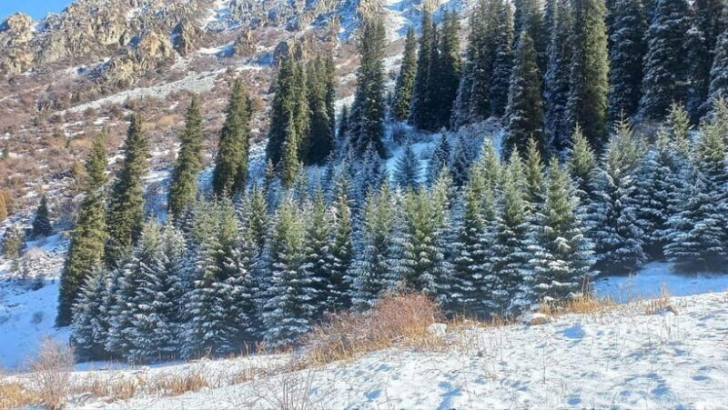 Bishkek:(3 Days) to Explore Nature, History & Nightlife - Practical Considerations