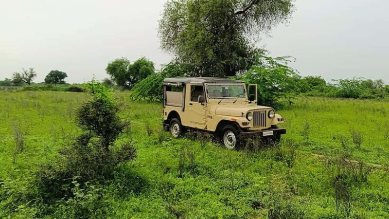 Bishnoi Village :Safari tour - Who Will Love This Tour?