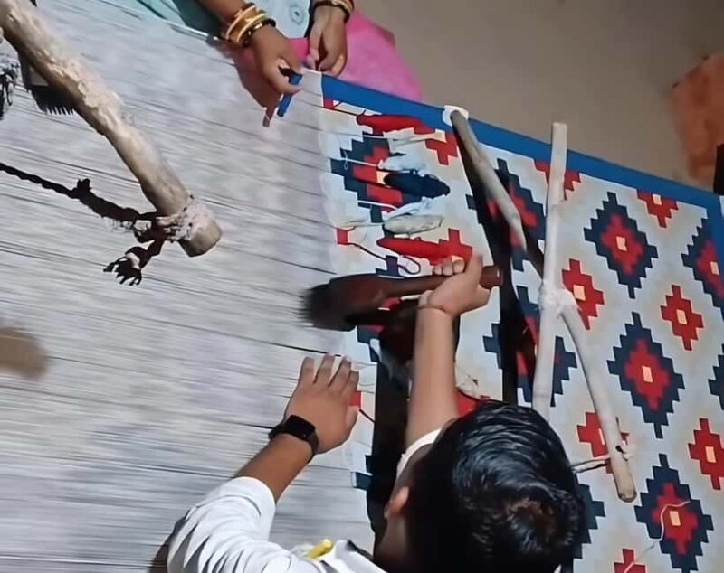 Bishnoi Village :Safari tour - The Sum Up