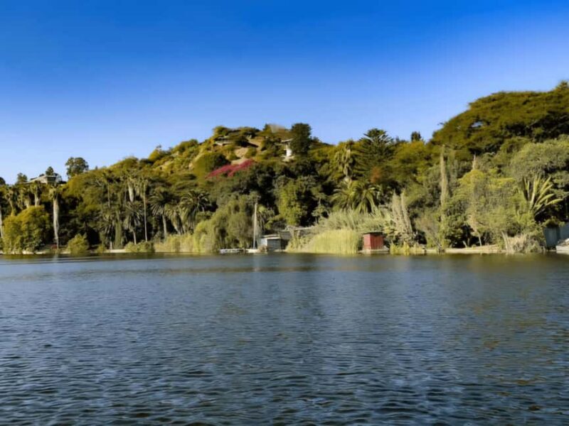Bishoftu Day Trip with Volcanic Crater Lakes - Key Points