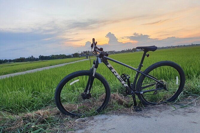 Bites by Bike a Hoi An Food Tour - Practical Details and Logistics