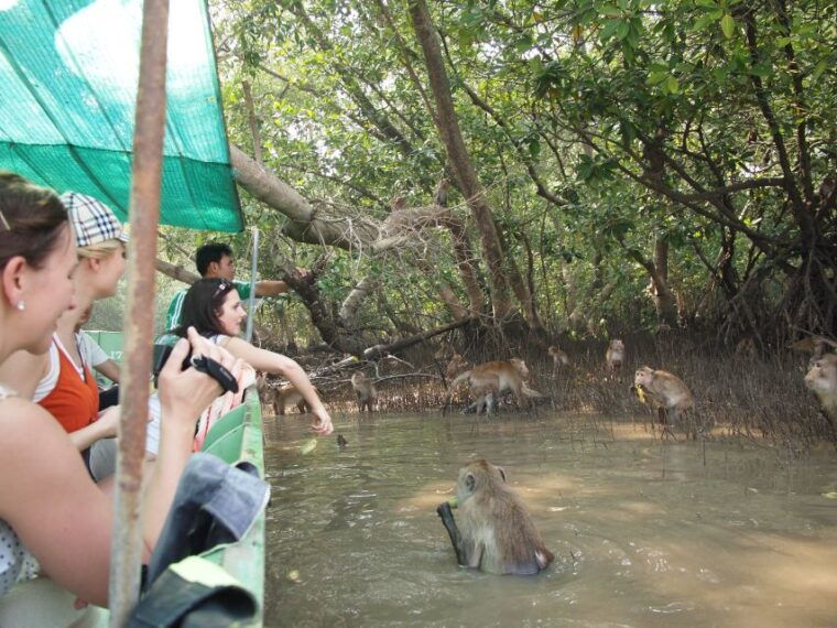 bkk-meet-monkey-mangrove-forest-seafood-market-private
