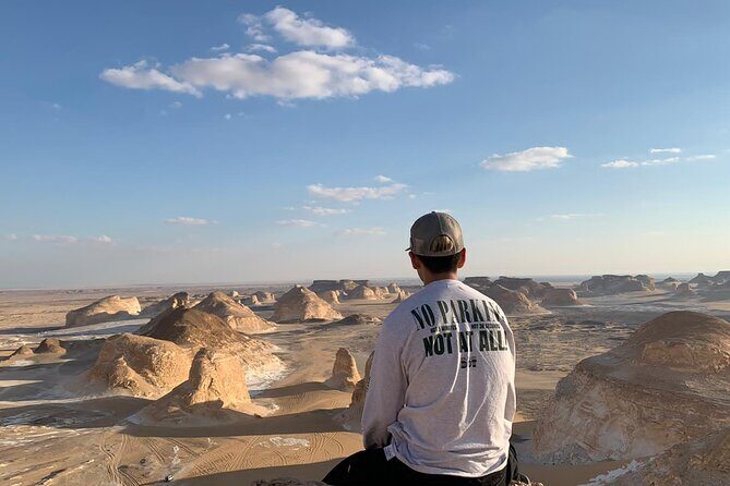 Black and White Desert and Bahariya Oasis Tour 2 Days 1 Night - The White Desert: Alien Landscapes & Unique Formations