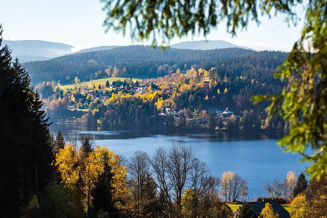 black-forest-and-rhine-falls-day-trip-from-zurich-2