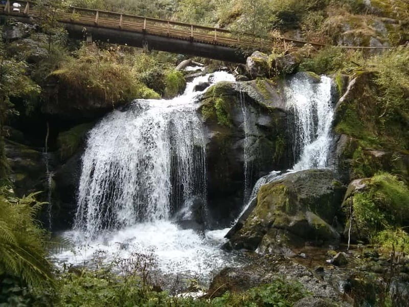 Black Forest: Private Black Forest Tour by car - Who Should Consider This Tour?