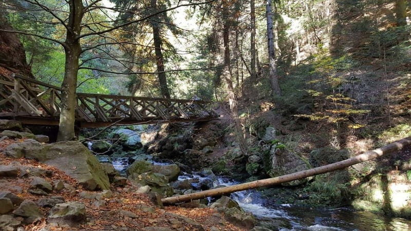 Black Forest: Ravenna Gorge Hike, Self-Guided - Authentic Insights from Reviews