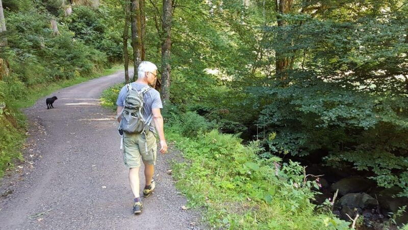 black-forest-ravenna-gorge-hike-self-guided