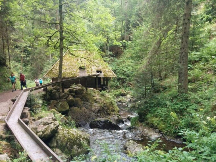 black-forest-ravenna-gorge-hike-self-guided