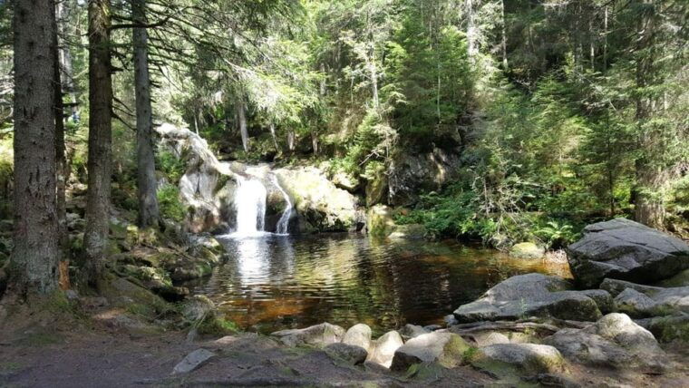 black-forest-ravenna-gorge-hike-self-guided