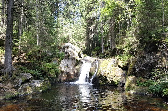 black-forest-tour-by-car-quick-tour-from-freiburg