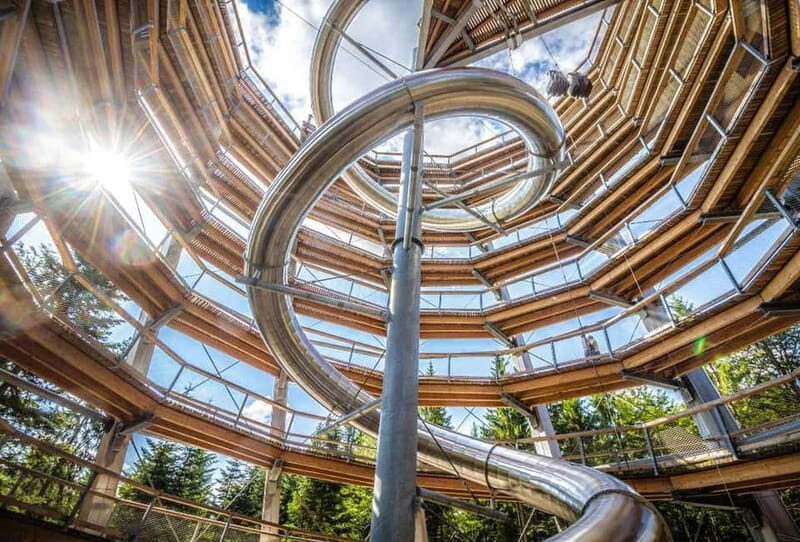 Black Forest: Treetop Walk & Lookout Tower Experience - Key Points