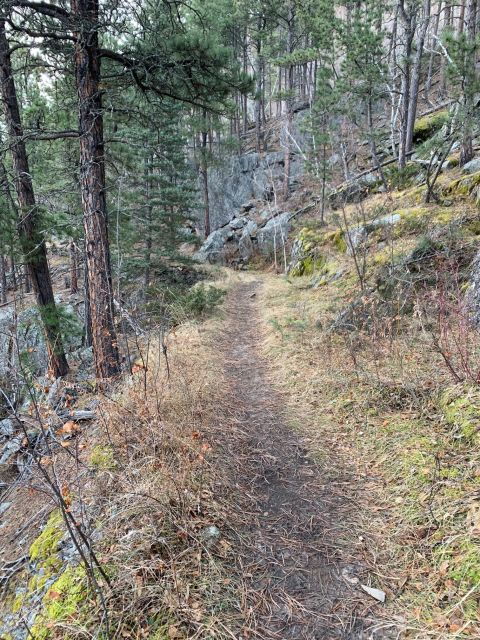 black-hills-private-tour-of-mt-rushmore-flume-trail-hike