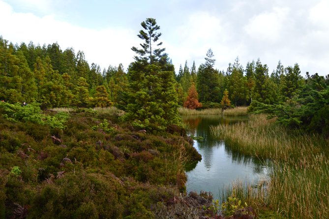 black-mysteries-hiking-trail-terceira-azores