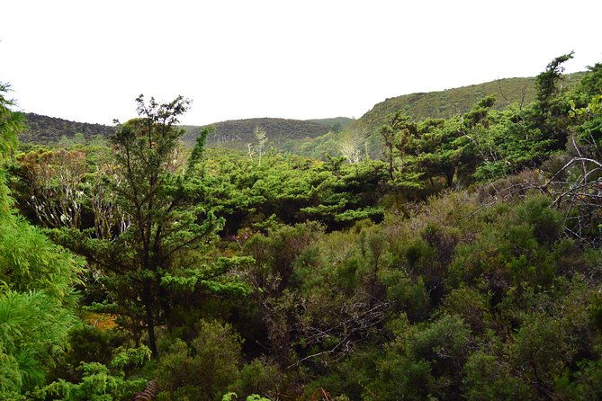black-mysteries-hiking-trail-terceira-azores