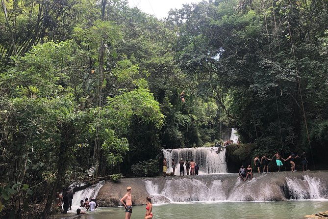 black-river-safari-and-ys-falls