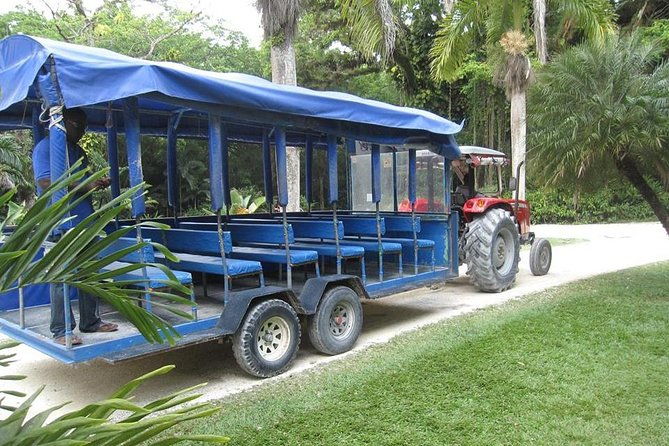 black-river-safari-and-ys-falls-tour-from-negril