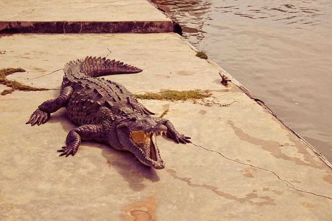 black-river-safari-tour-from-montego-bay