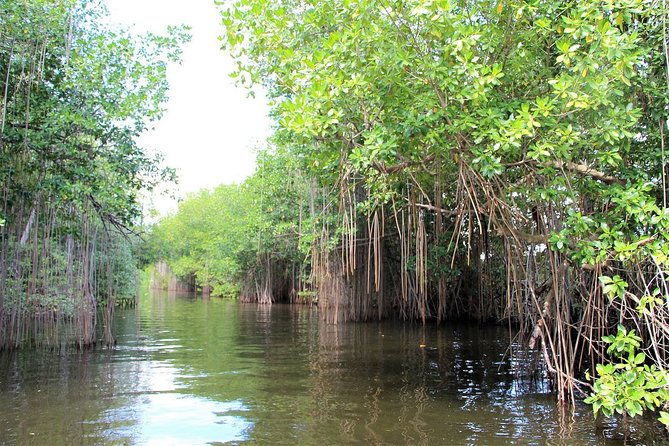 black-river-safari-ys-falls-plus-floyds-pelican-bar-private-tour