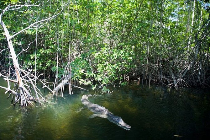black-river-safari-ys-falls-plus-floyds-pelican-bar-private-tour