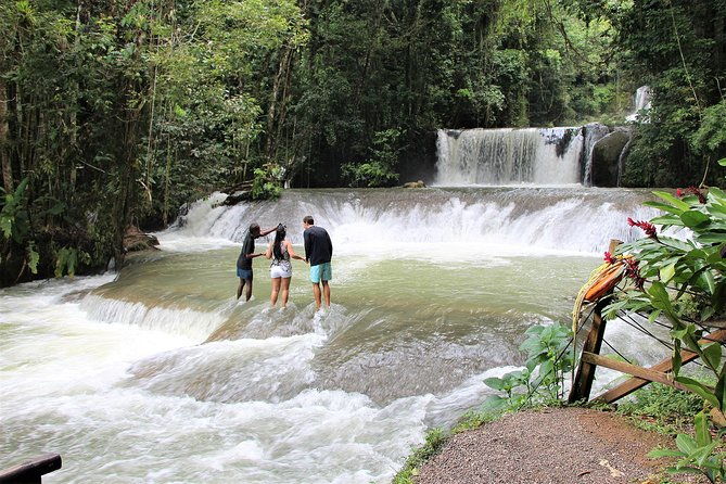 black-river-safari-ys-falls-plus-floyds-pelican-bar-private-tour