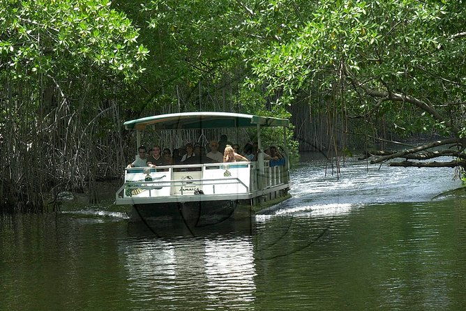 black-river-safari-ys-falls-plus-floyds-pelican-bar-private-tour