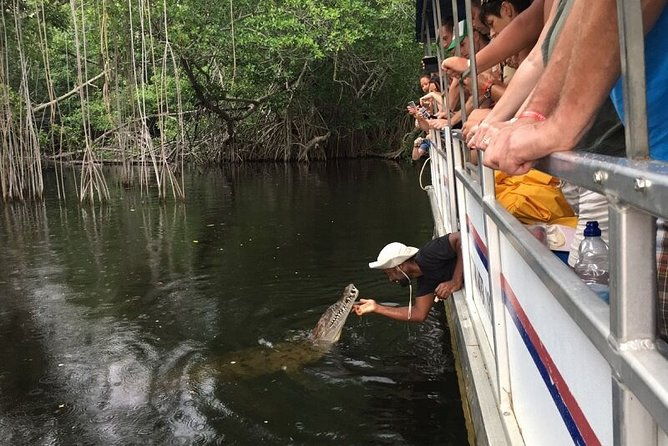 black-river-safari-ys-falls-plus-floyds-pelican-bar-private-tour
