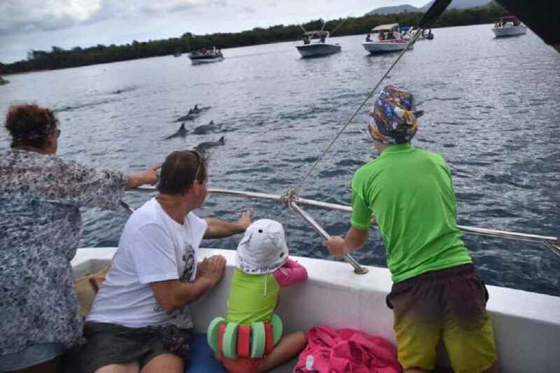 Black River: Swim with Dolphin Speed Boat Tour with lunch - Practical Details & Tips