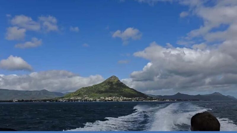 Black River: Swim with Dolphin Speed Boat Tour with lunch - FAQ