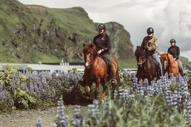 black-sand-beach-horse-riding-tour-from-vik