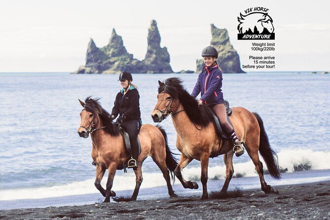 black-sand-beach-horse-riding-tour-from-vik