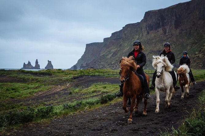 black-sand-beach-horse-riding-tour-from-vik