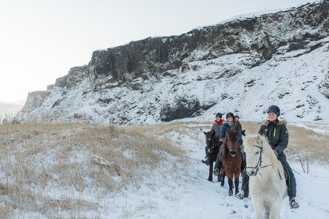 black-sand-beach-horse-riding-tour-from-vik