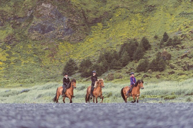 black-sand-beach-horse-riding-tour-from-vik