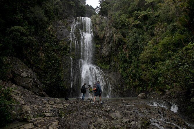 BLACK SAND PIHA BEACH, Maori Arts, Water Falls West Auckland Tour - Why This Tour is a Great Choice