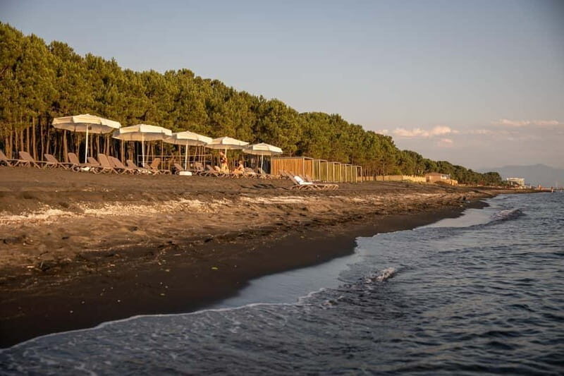 Black Sea: Magnetic Beach and Batumi Botanical Garden Tour - Who Should Consider This Tour?