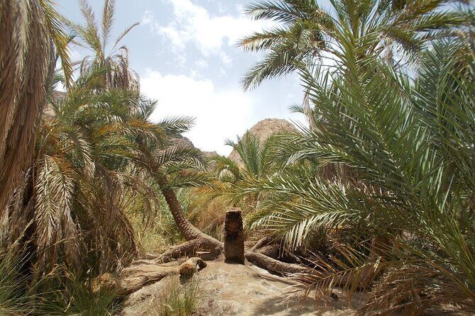 Black - White Desert and Bahariya Oasis two days Tour - Value and Pricing