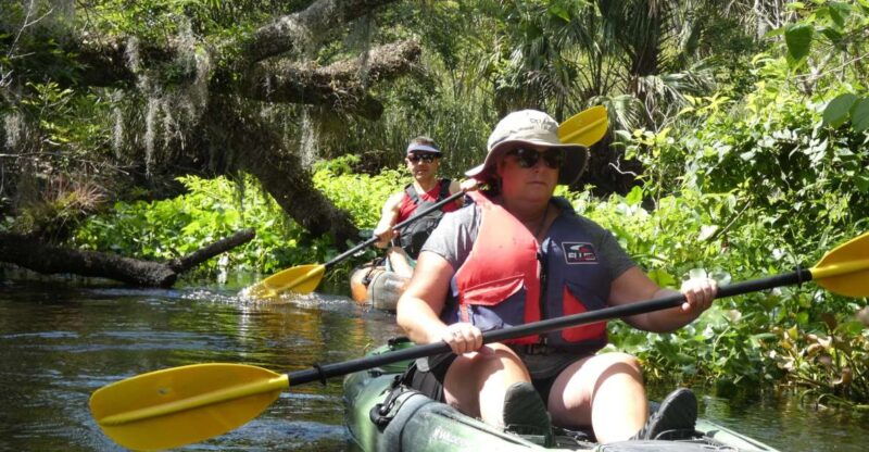 blackwater-creek-exclusive-nature-escape-kayak-adventure
