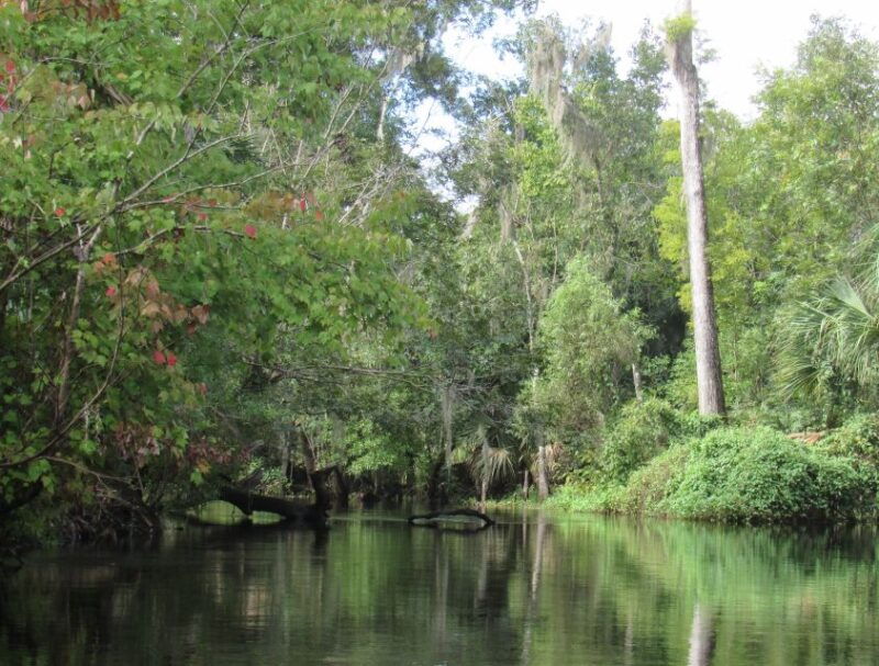 blackwater-creek-exclusive-nature-escape-kayak-adventure