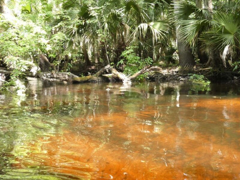 blackwater-creek-exclusive-nature-escape-kayak-adventure