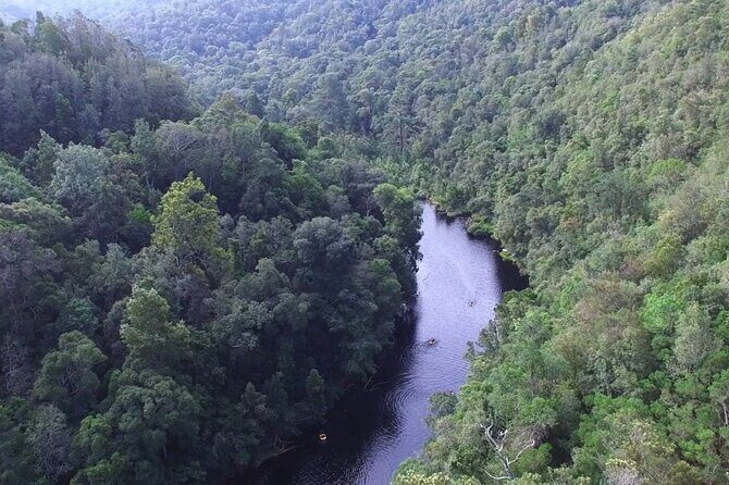 Blackwater Tubing Green Route Forest Adventure - Who Should Consider This Tour?  