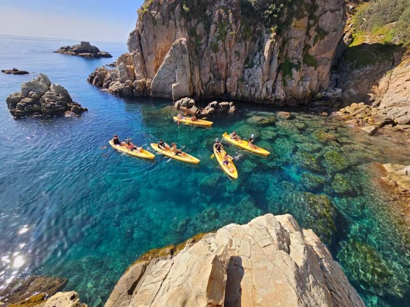 Blanes: Kayak and Snorkel Tour with Guide - Authentic Experiences & Insights from Reviews