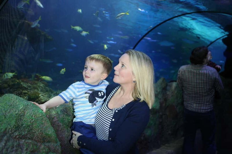 Blankenberge: SEA LIFE Entry Ticket - Authentic Insights from Visitors Reviews
