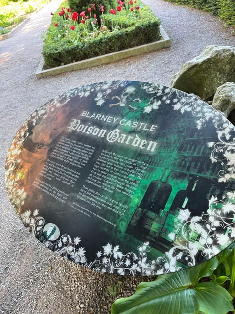 blarney-castle-and-cork-cityprivate-taxi-tour