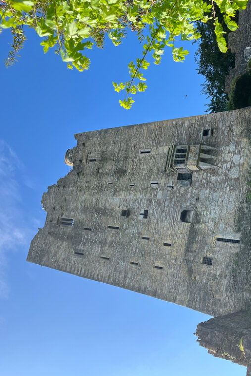 blarney-castle-and-cork-cityprivate-taxi-tour