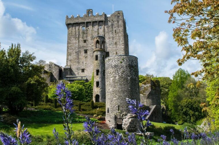 blarney-castle-private-guided-day-tour-from-dublin