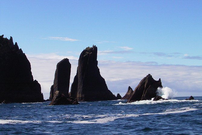 blasket-island-eco-tour