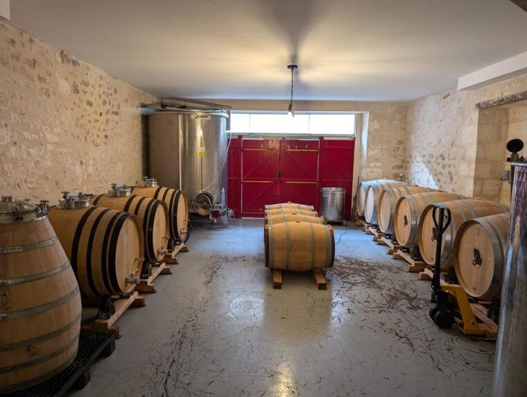 blaye-the-secrets-of-blaye-wine-art-history-and-old-cars