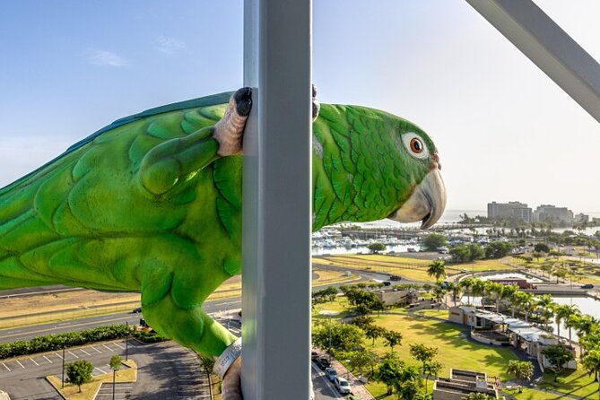 blazing-bull-zip-line-activity-at-toroverde-urban-park-san-juan